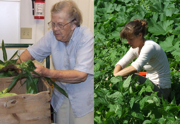 (left)  Doris Jones Clearwater, third generation, inspects sweet corn. (right) Rachael Scirbona, the farm’s organic gardener, picks green beans.