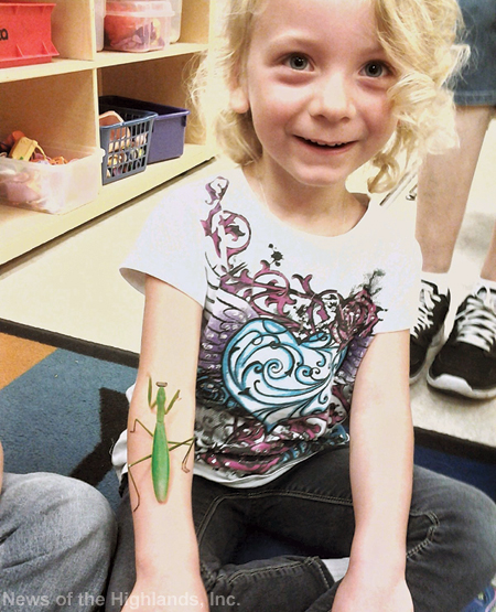 Photo by Suzanne Tagliaferro Grace McGuinness reacts to the praying mantis that’s climbing up her arm. during a science class for four year olds.