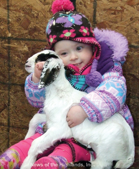 Photo by Jason Kaplan Gabriella Salvucci hugs a goat during one of Edgwick Farm’s (in Cornwall) winter tours. Guided tours, by reservation only, are offered Wednesday, Friday, Saturday, and Sunday from 10 a.m. to 2 p.m. through the month of April. 