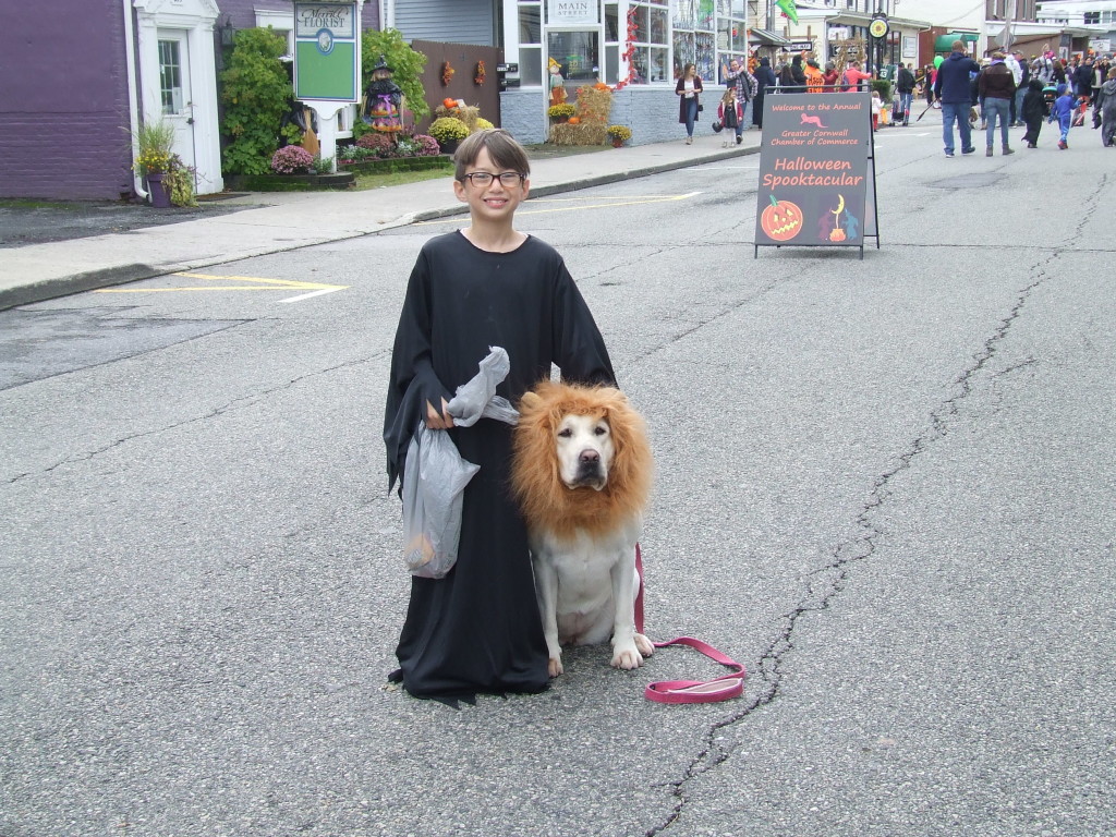 Max Greco came to the Spooktacular with Lola the Lion.